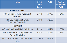 rieger report munil bonds in 2017