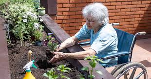 benefits of gardening for seniors and