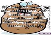 And the potatoes were burnt. A Kawaii Potato A Potato Flew Around My Room Know Your Meme