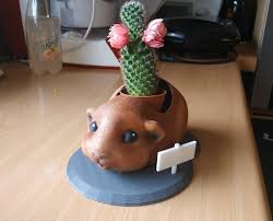 free stl file guinea pig flower pot