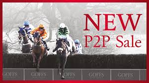 Goffs uk spring store sale preview. Goffs Uk On Twitter Initial Entries For Goffs November P2p Sale At Yorton Now Online Read The Article Https T Co B7munl1zln View The Catalogue Https T Co Gaf0iy8sqb â„¹ More Information Https T Co Nfkhnkfl3d 12 November