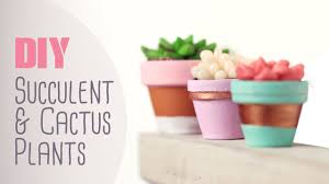 diy succulent cactus plants cute