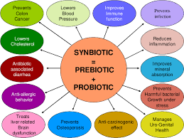 Significance of Prebiotics, Probiotics and Synbiotics as Health Potentiators | Semantic Scholar