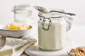 homemade yogurt recipe healthy