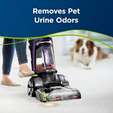 bissell pet urine stain odor remover
