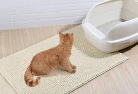cat litter mat to protect your floors