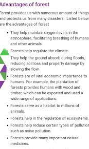 what are the merits of forests