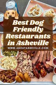 dog friendly restaurants in asheville