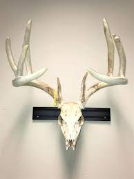 Deer Skull Hanger Bracket