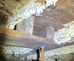 What Does Mold Treatment Cost Best