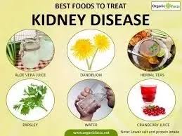 What Is The Diet Plan For Dialysis Patient Quora