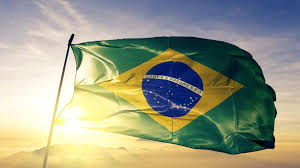 Find the perfect brazil flags stock photos and editorial news pictures from getty images. The Pandemic So Far Brazil