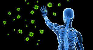 Will Coronavirus Exposure Mean Lasting Immunity?