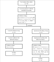 Flow Chart Of Experiment Bipap Biphasic Positive Airway