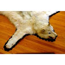 white wolf rug