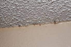 2023 popcorn ceiling removal cost
