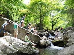 くらがり渓谷キャンプ場 | 【公式】愛知県の観光サイトAichi Now