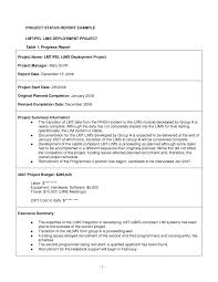 Sample Project Report Goal Goodwinmetals Co Writing Format Template