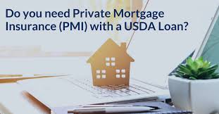 does a usda loan have pmi private