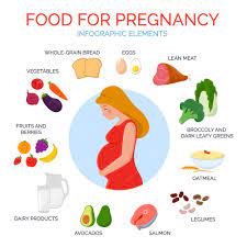 Pregnant nutrition Vectors & Illustrations for Free Download | Freepik