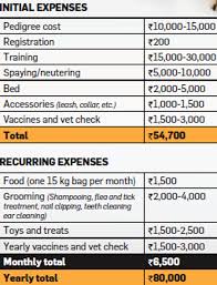 Puppy shots cost & schedule: Want To Know The Real Cost Of Keeping A Pet Find Out The Economic Times