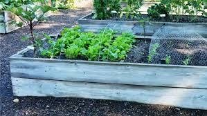 Do Raised Garden Beds Need To Be Buried