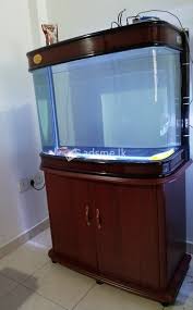 Imported Tempered Curved Glass Fish