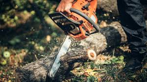 Best Chainsaws 2019 Small Chainsaws For Less Than 300