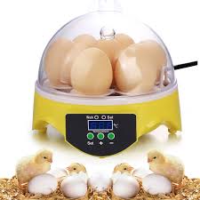 eggs incubators for hatching eggs