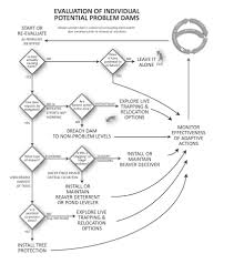 Flow Chart Showing The Monitoring Evaluation Of Potential