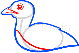 Pick your favorite color and start coloring! How To Draw A Loon Loon Bird Coloring Page Trace Drawing