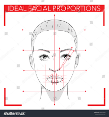 Face Chart Make Upideal Facial Proportionsbeauty Stock