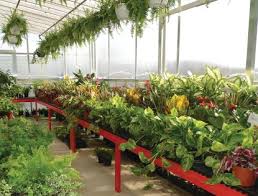 plant garden centers in lancaster pa
