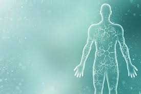 Interesting Facts About the Human Body | SelectHealth