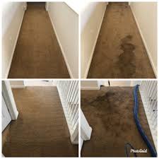 gro carpet cleaning 26 photos 14