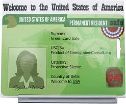 Each green card that uscis issues to a permanent resident now has an alien registration. Amazon Com Green Card Guard The Protective Sleeve For The U S Permanent Resident Card Office Products