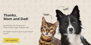 Check spelling or type a new query. History Of Pet Health Insurance Why Your Pet Needs Coverage