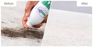 peninsula chem dry carpet cleaning in