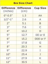 14 Best Bra Size Chart Images Bra Size Charts Bra Sizes Bra