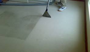 carpet cleaning specialists all