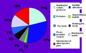 Causes Of Extinction Of Species A Pie Chart Deforestation