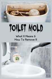 toilet mold what it is how to remove