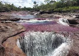 Before caño cristales, i thought rainbow rivers were only in three years old kids' imagination, with how to visit caño cristales: Cano Cristales Colombia S Rainbow River The Travelling Triplet