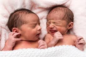 multiple birth gestation and