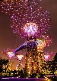 Amazing Illuminated Garden In Singapore
