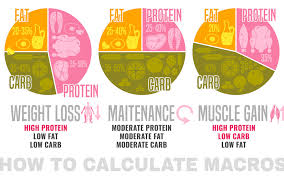 calculate your macros for fat loss and