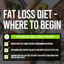how to start a fat loss t the
