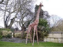 Doreen The Garden Giraffe Large