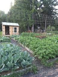 Enclosed Vegetable Garden With Raised