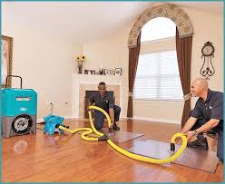 hard floor cleaning canonsburg pa